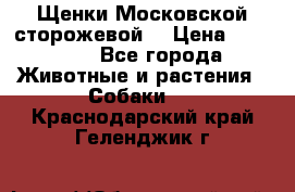 Щенки Московской сторожевой  › Цена ­ 25 000 - Все города Животные и растения » Собаки   . Краснодарский край,Геленджик г.